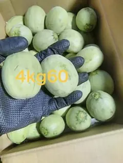 北海道産 摘果メロン　4キロ　60のサムネイル