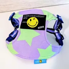 Item thumbnail for item 1308bae8-74dd-4cf7-8577-eb7f7495bf38