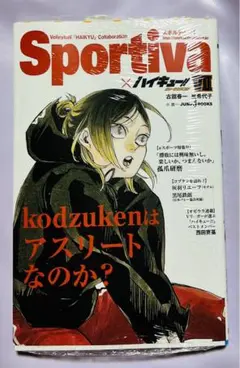 ハイキュー  小説 ショーセツバン 7巻 孤爪研磨 劇場