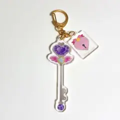 プリパラ　アイドルキー　アクキー　みちる