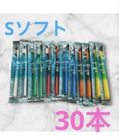 タフト24 歯ブラシ 歯科医院専用　30本