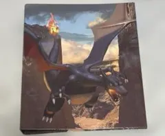 ポケモンカード コレクションファイル 色違いリザードン+コレクションリフィル