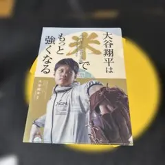 大谷翔平岩手ふるさと米☆クリアファイル☆激レアのサムネイル
