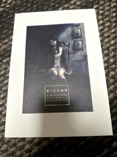 未開封】Innocent Grey 白夜 公式図録 殻ノ少女 画集 杉菜水姫 - メルカリ