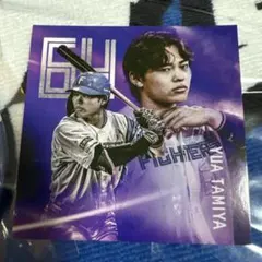 ベ*♡様 北海道日本ハムファイターズ 田宮裕涼選手　ステッカー