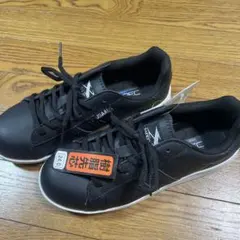 Item thumbnail for item a51ec11a-2afc-46a4-81f0-f51888c3d6a4