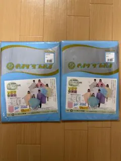 Item thumbnail for item a36db2a1-db74-471e-8e29-8239415e8e77