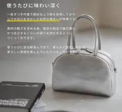 HAYNI ヘイニ エメル ショルダーバッグ シルバー 本革 2way 日本製のサムネイル