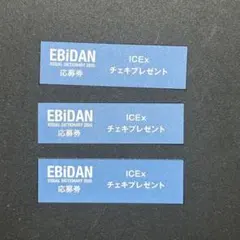 ICEx EBiDAN VISUAL DICTIONARY 2026 応募券