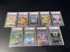 【PSA10】8連番 ブイズ進化セット テラスタルフェスex SEQ