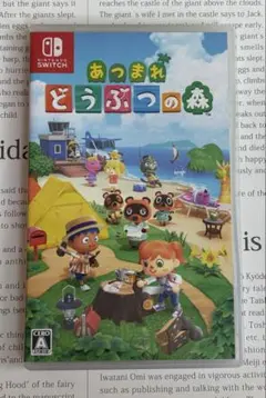 あつまれどうぶつの森 Switch 美品