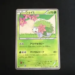 【匿名配送】PSA10 連番 シェイミ CP5 003 004/036 シェイミ CP5 幻·伝説ドリームキラコレクション 004/036 - メルカリ