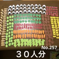お弁当　30人分　300枚セット　No.257