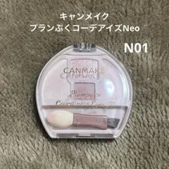 キャンメイク プランぷくコーデアイズNeo N01 涙袋用