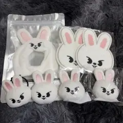 2025年最新】straykids ペンライトカバー ver.2の人気アイテム - メルカリ