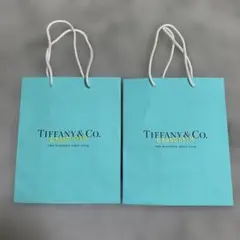 NY店＊Tiffany & Co. ショップ袋＊2枚セット