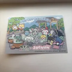 JOCHUM 極楽湯 ポストカード　ジェオチャム　サンリオ　JO1