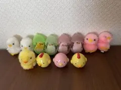 ぴよりーな　ひよこセット