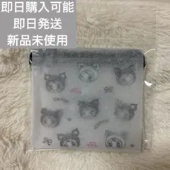 ナルミヤハッピーパーク　総柄クリアフラットポーチ　デビリーちゃん