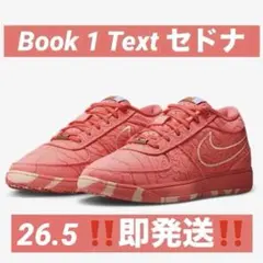 2025年最新】book1 nike セドナの人気アイテム - メルカリ