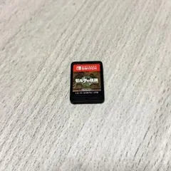 NintendoSwitch ゼルダの伝説 ティアーズ オブ ザ キングダム