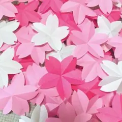 折り紙　桜　50枚