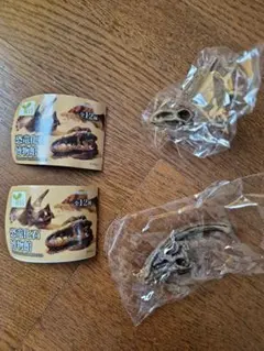 恐竜の化石フィギュア 2種セット