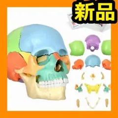 Item thumbnail for item 764566a6-6dcc-4bb1-a64c-f511f77f418b