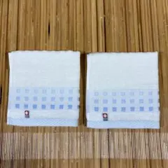 Item thumbnail for item 555b9606-1157-4f87-bf34-15441689f735