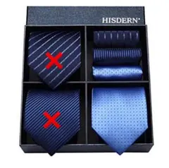 【新品】HISDERN(ヒスデン) ブランド品 ネクタイ チーフ