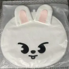 スキズ straykids リービット リビ うちわケース うちわカバー