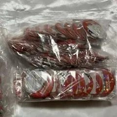 ハイキュー 菅原孝支 オールスターズ缶バッジ