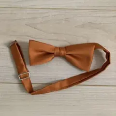 Item thumbnail for item 10258129-64ce-48b6-b1f3-4a863ae72bae