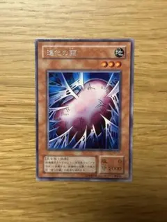 2025年最新】進化の繭 初期の人気アイテム - メルカリ