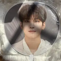 SEVENTEEN エスクプス S.Coups うちわ Ode to You - メルカリ
