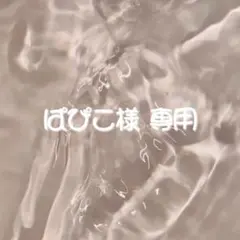 ぱぴこ様 専用