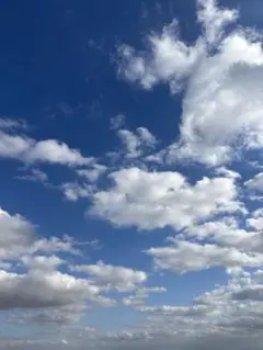 ヒロさま　専用です