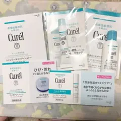 キュレル　サンプルセット