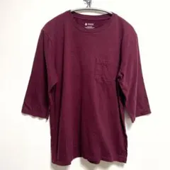 ナノユニバース　Tシャツ【Ｍ】紫　コットン100%  美品　デート　お洒落　夏秋