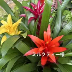 【No.a85】天然石チャーム