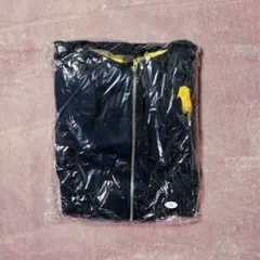 Item thumbnail for item 3375065a-ebfd-46c2-8bfe-44d76faf2ae3