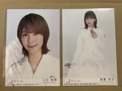 土生瑞穂　渡邉理佐　小池美波　齋藤冬優花　生写真　まとめ売り