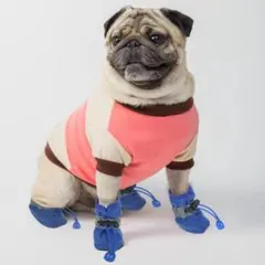 Item thumbnail for item a916defc-1621-4586-a5f8-ea152644748e