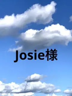 Josie様 リクエスト 2点 まとめ商品