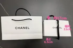 CHANEL ギフト袋 2点セット