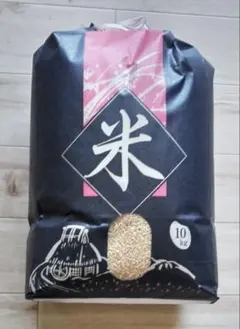富山県産コシヒカリ　令和7年産　玄米10kg 精米無料のサムネイル