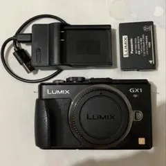 美品】Panasonic LUMIX GF1 ボディ 外箱・おまけ付き - メルカリ