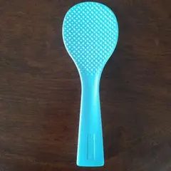 Item thumbnail for item ca3ccee1-69d4-4510-8a8f-630b3191ffc3