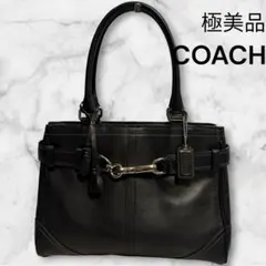2026年最新】coach ハンプトンの人気アイテム - メルカリ