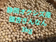 静岡市オクシズ産ぎんなん3kgのサムネイル